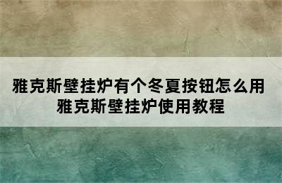 雅克斯壁挂炉有个冬夏按钮怎么用 雅克斯壁挂炉使用教程